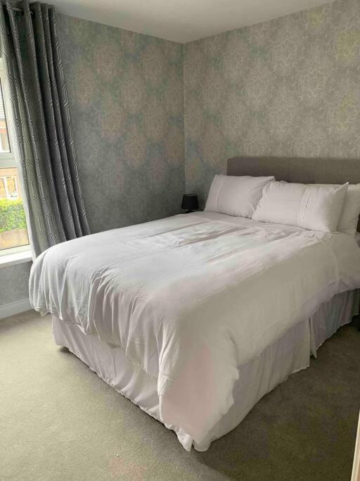 The Court Apartment Belfast Ngoại thất bức ảnh