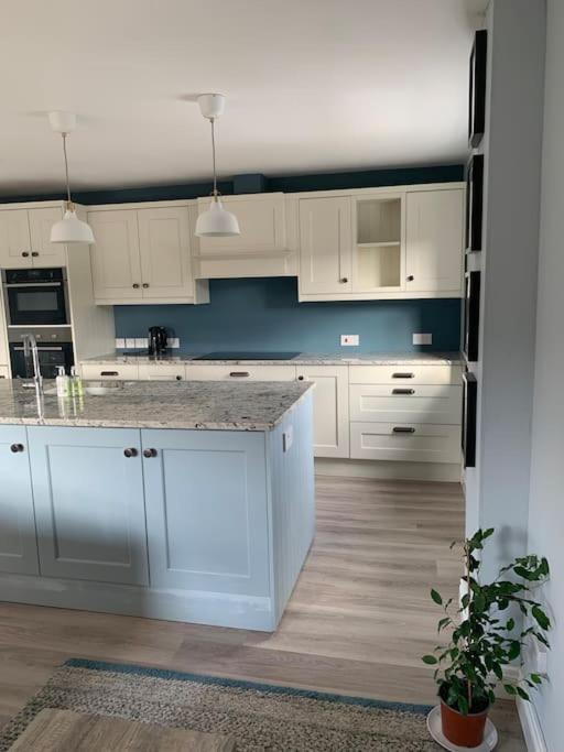 The Court Apartment Belfast Ngoại thất bức ảnh